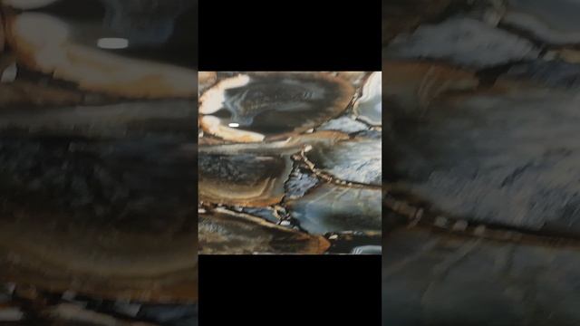 1000248410.mp4