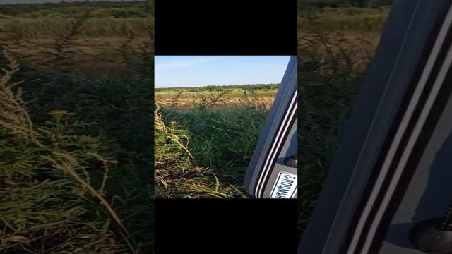 Лоцман 300 нднд.mp4