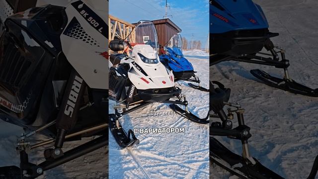 Тунгус 500 или Тунгус 600? Вся правда. #снегоход #irbis #зима #охота #рыбалка #туризм