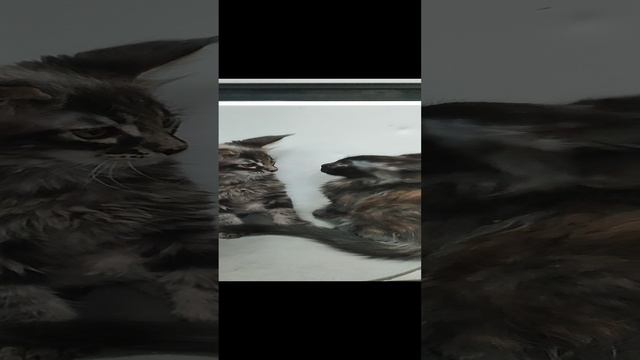 1000058366.mp4
