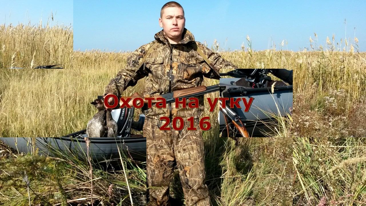 Охота на утку 2016 №1