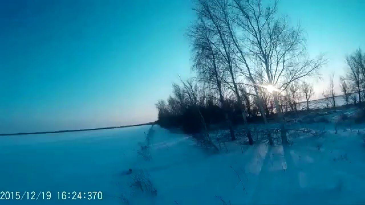 Охота на зайца №4