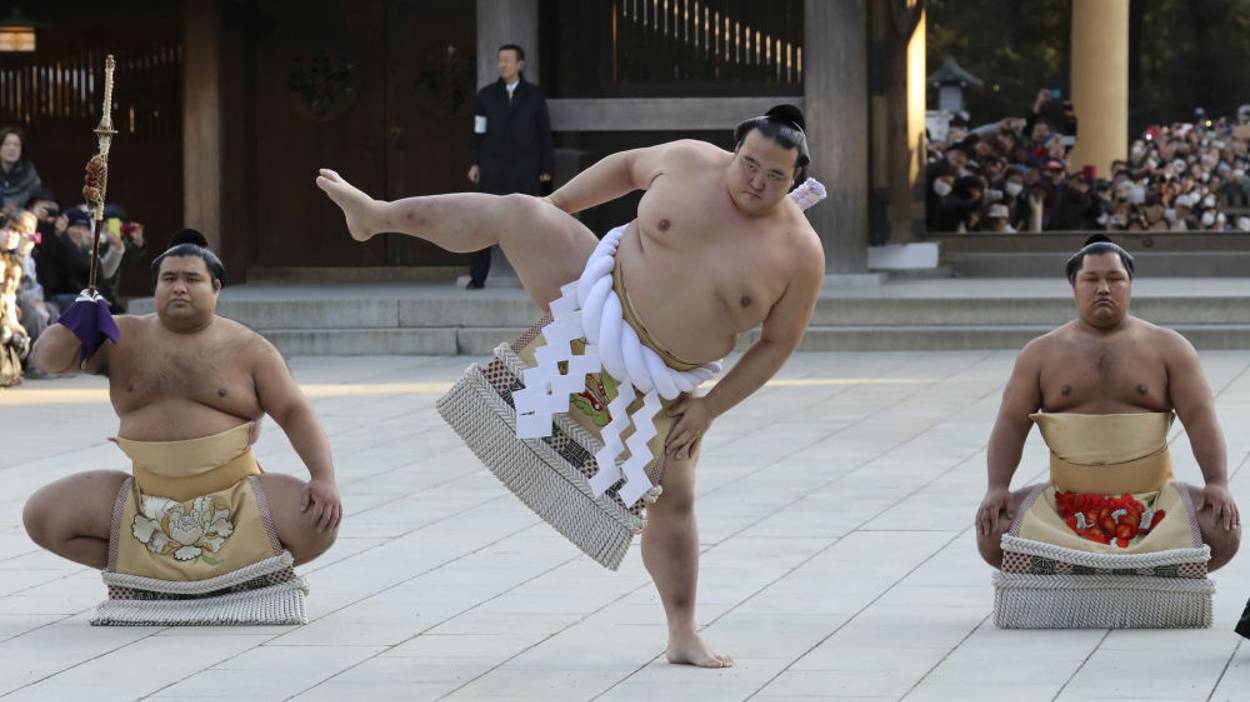 Сумо симулятор часть 1