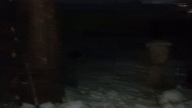 играем с жужай и с Димай и с стасам