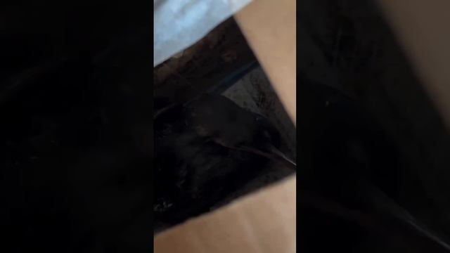 Я через 10 дней еду чистить море в Анапу. Жилье и еда предоставляется. 
 Кто со мной ?