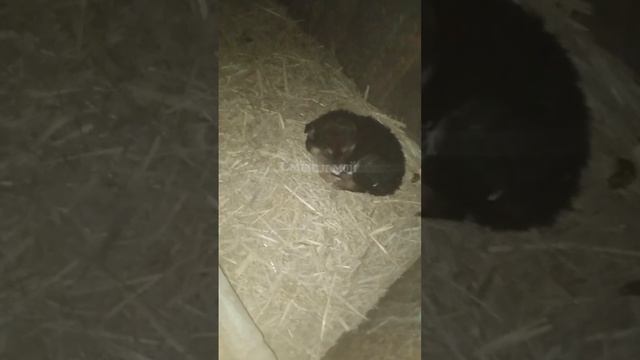 1000073124.mp4