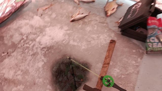 1000002085.mp4