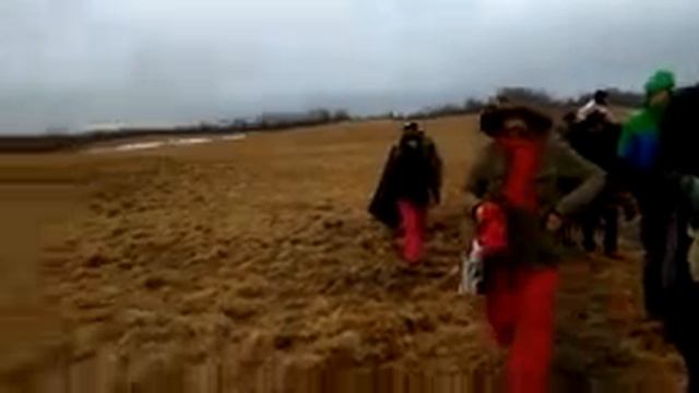 Облепиховое Лето поле шторм