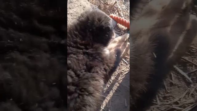 1000072669.mp4
