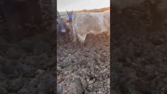 1000289843.mp4