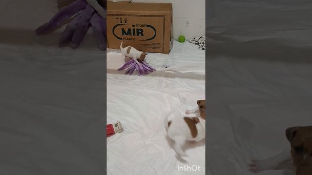 1000027359.mp4