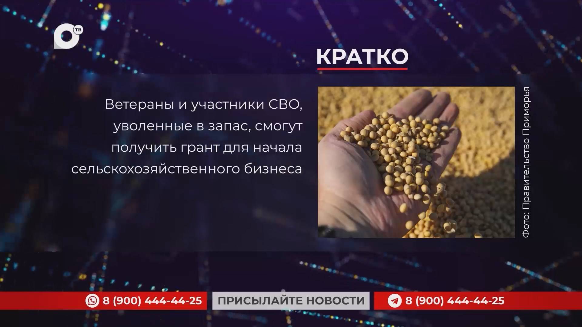 Кратко / 16.01.25 / Вечер