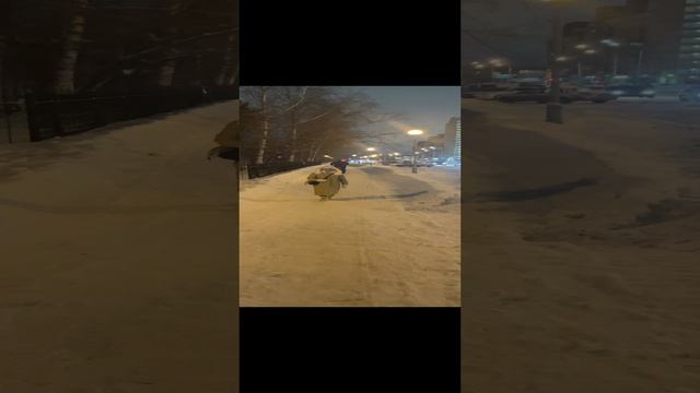 Местный пингвиненок. Так забавно ходит ☺️