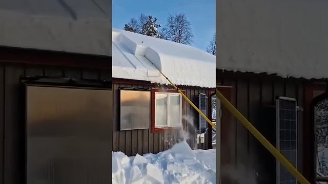 1000040233.mp4
