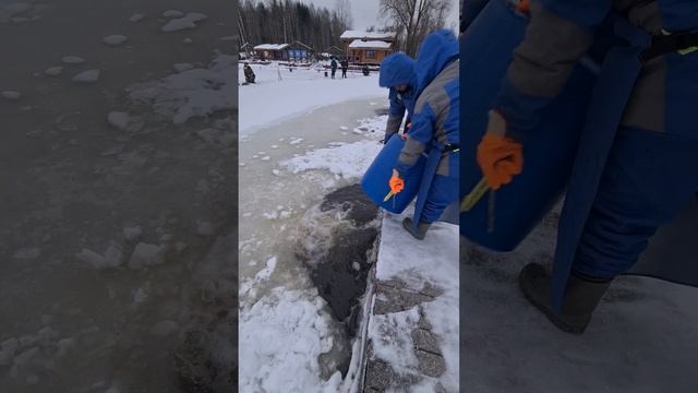 Запуск форели