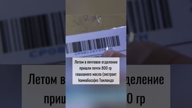 Алматинец получил 16 лет тюрьмы за посылку