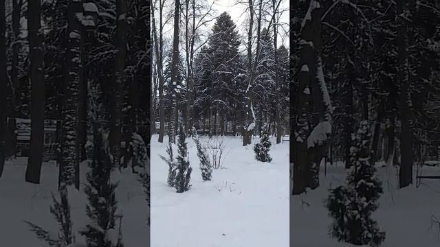 VID-20250116-WA0014