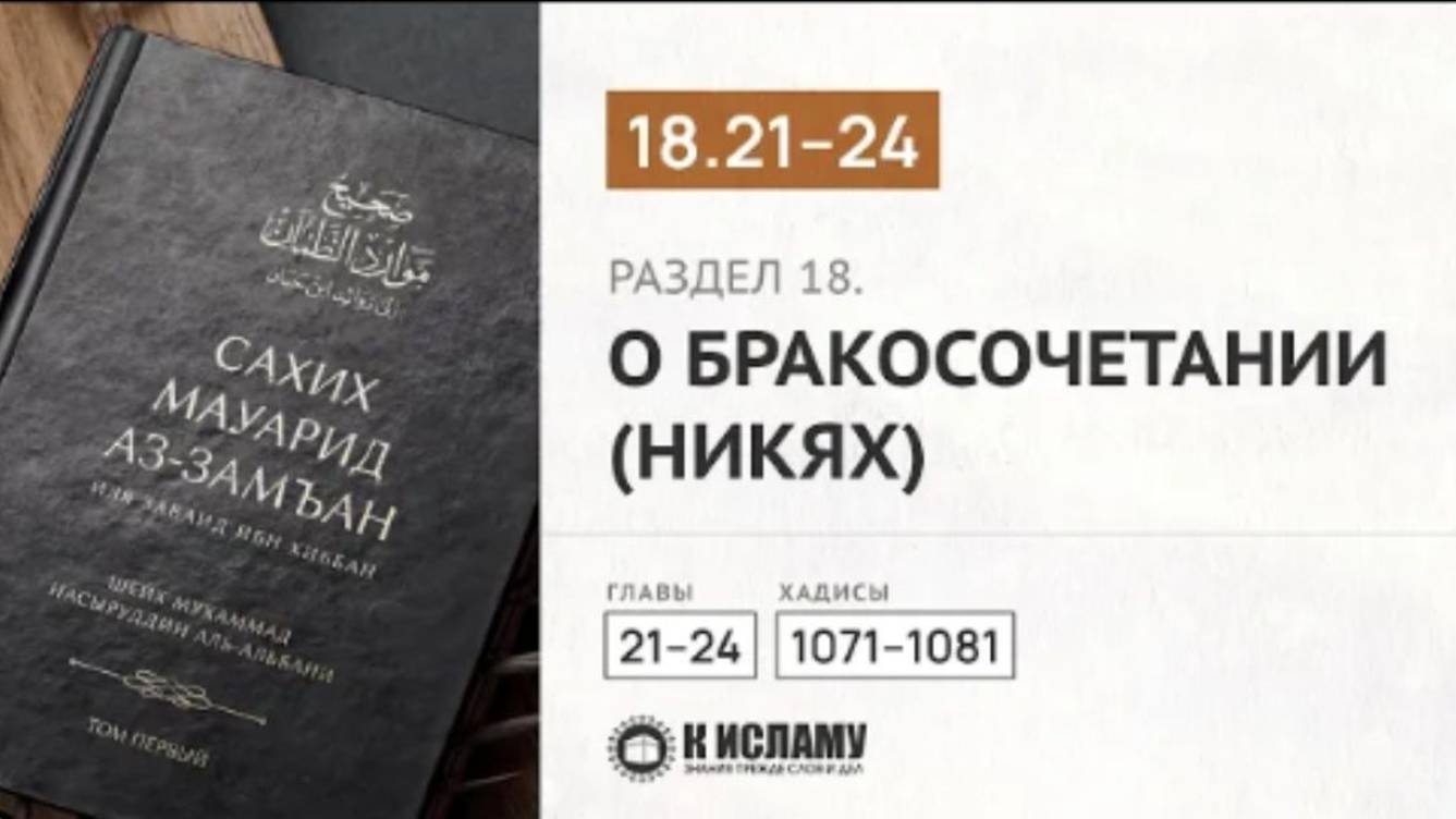 Главы 18.21—18.24. О правах мужа и жены. Хадисы 1071–1081