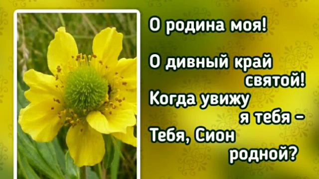 227 Быть вместе со Христом (-)
