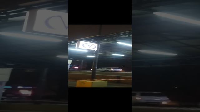 Где же проспект Ветеринаров?! 🐶АКА🤓