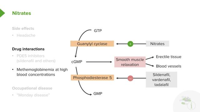 02.02 Nitrates – Angina and Heart Failure Management