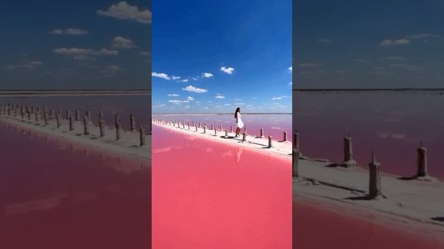 Россия, Крым, Сасык-Сиваш.