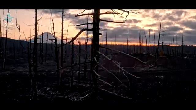 Лос-Анджелес в ОГНЕ | НАКАЗАНИЕ АЛЛАХА может быть