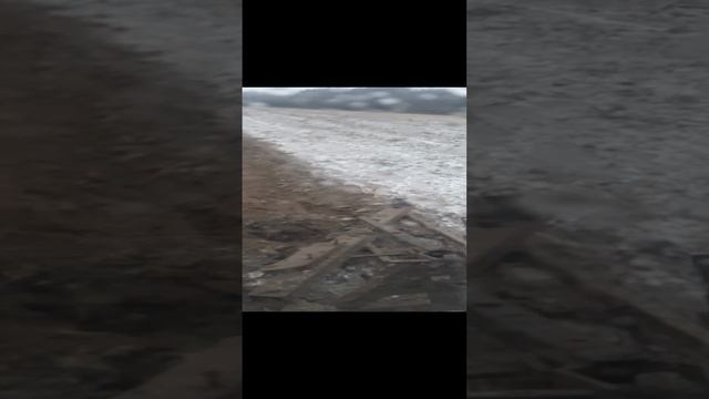 МТЗ-80.mp4