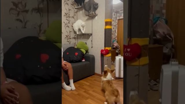 Кто-то рад, а кто-то не очень
