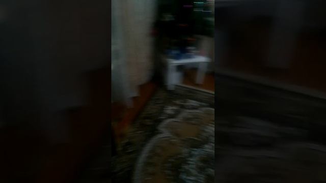 scene_output.mp4