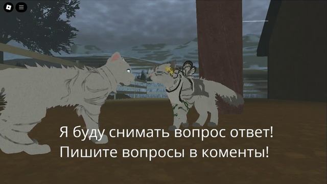 Пишите свои вопросы в комы!