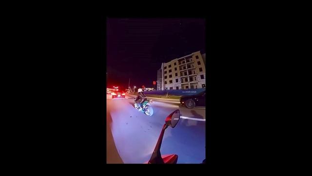 Свежие приколы, смешные видео и ситуации, забавные видео с животными