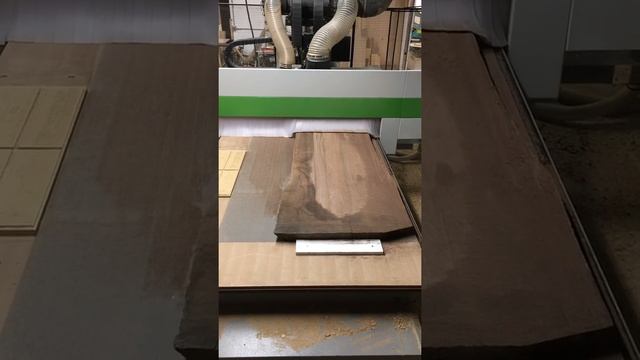 Biesse Rover S / How to Flattened Live Edge Slab.