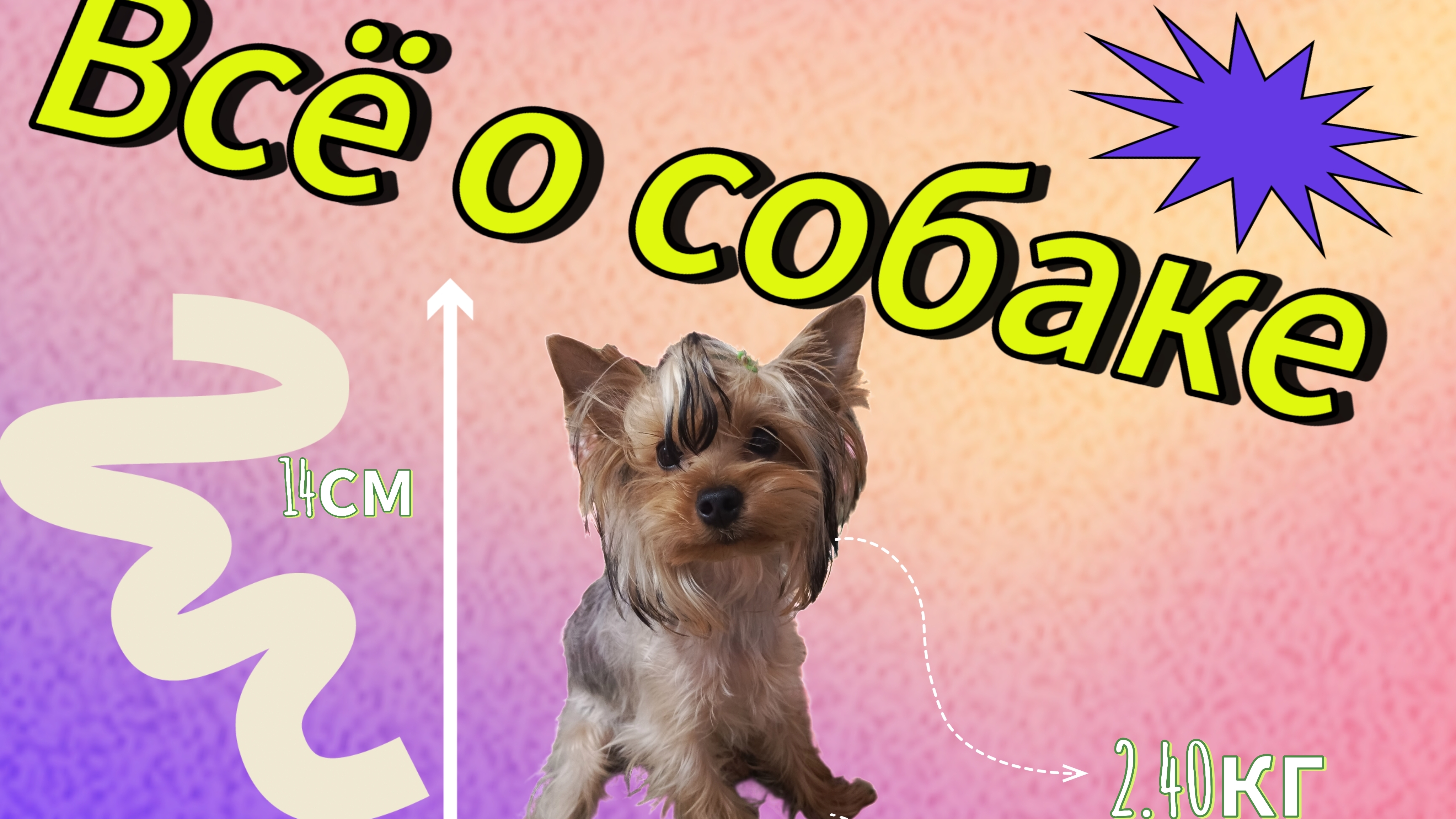 Всё о моей собачке💗