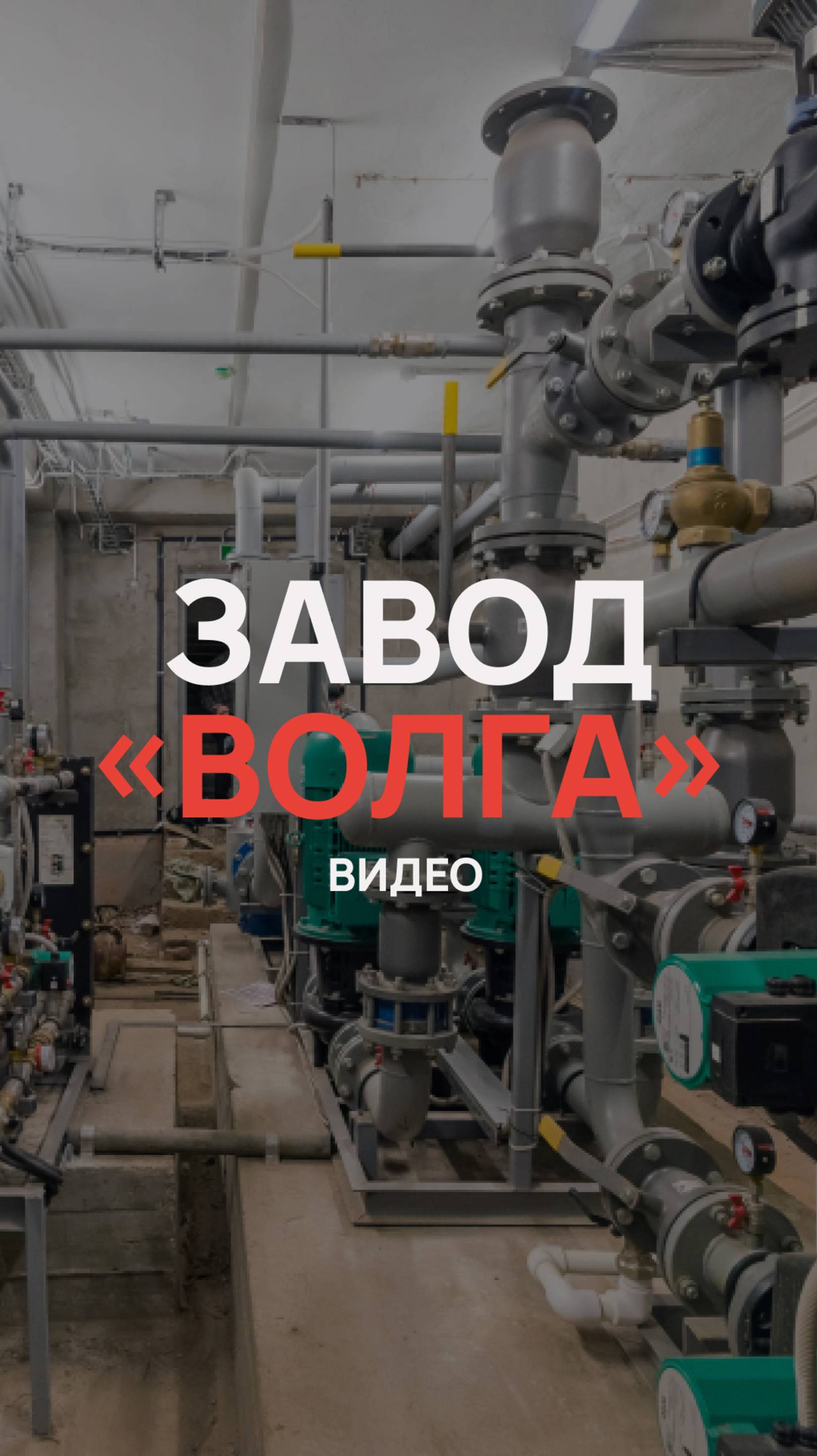 Завод «Волга»