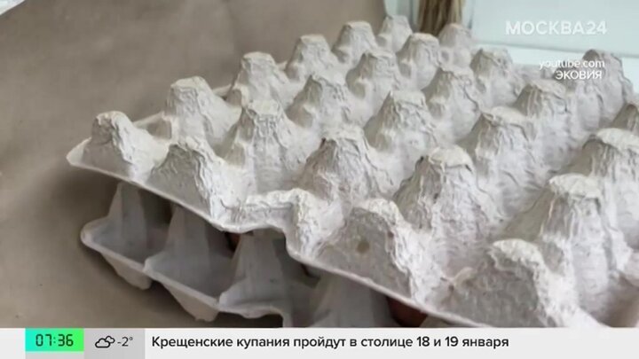 ФАС проверит соблюдение производителями требований к упаковке молока и яиц