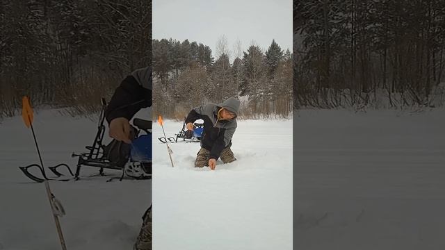 НВД. Налимчик на 480 гр.