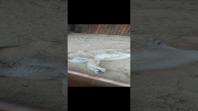 1000003150.mp4