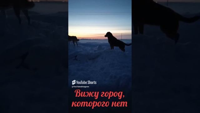 Вижу город, которого нет