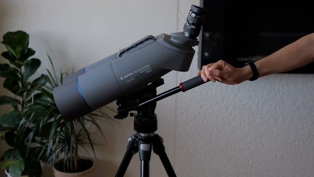 APM 100 ED-APO bino on Manfrotto Nitrotech N12 head