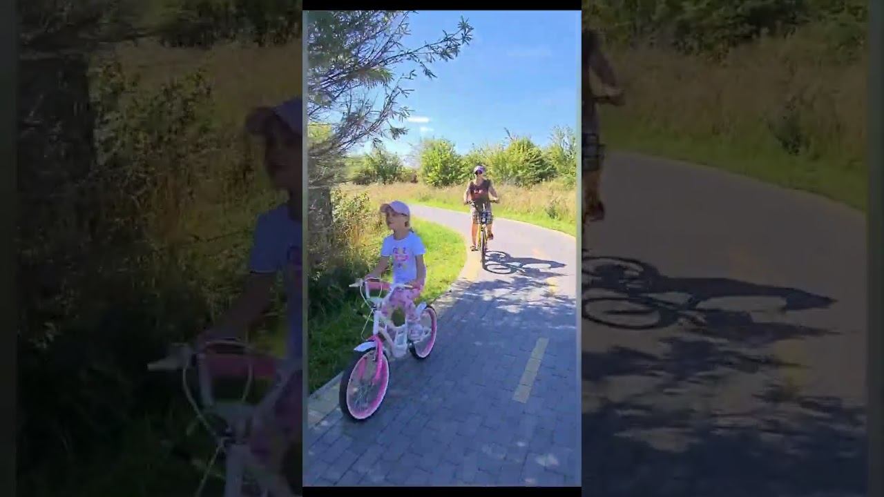 3 сентября 2023 г.