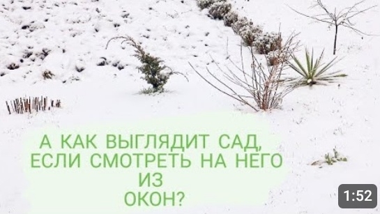 А КАК ВЫГЛЯДИТ САД, ЕСЛИ СМОТРЕТЬ НА НЕГО ИЗ ОКОН НАШЕГО ДОМА?