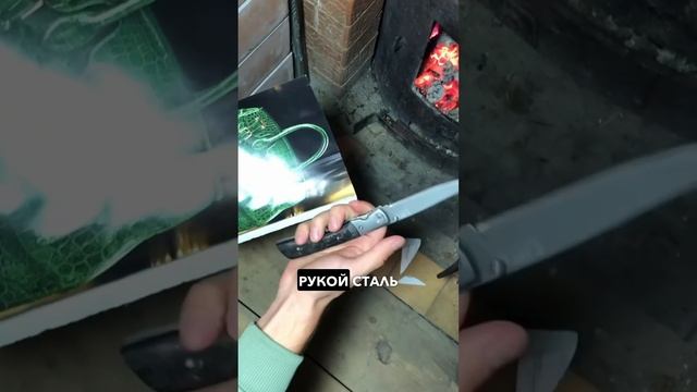 Многократный победитель выставки и лучшая раскладушка в России  #russia #топ