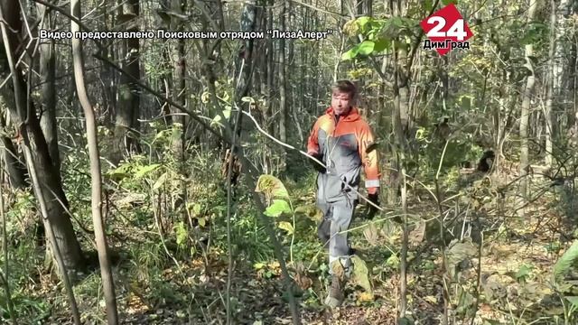 В Димитровграде ищут добровольцев - поисковиков