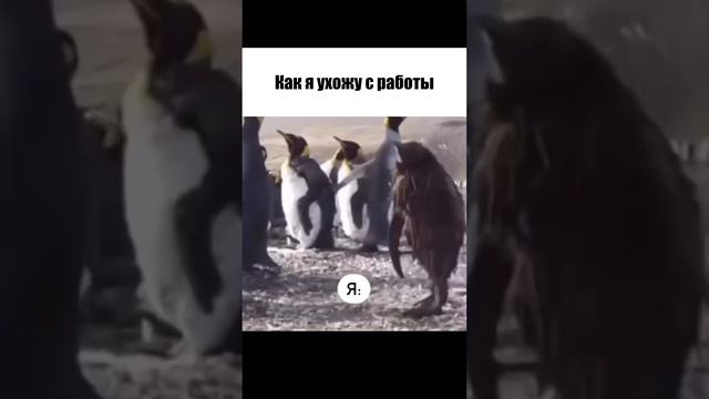 Узнали себя?