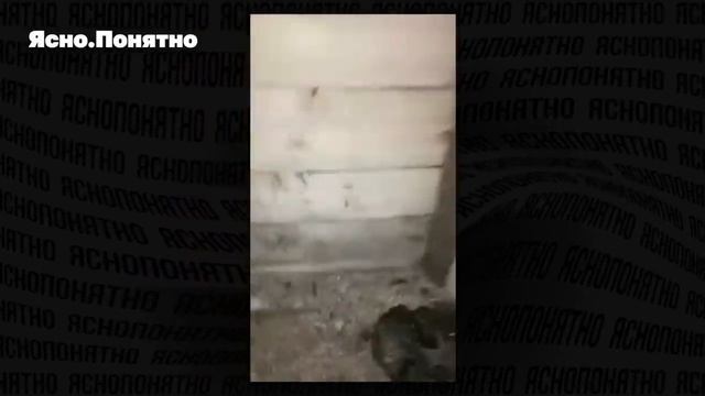 Ракетная атака по газу и энергетике, Билецкий о «ж@пе» на фронте. Итоги 15.01