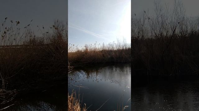 Херабуна.Первые шаги.13.01.25.