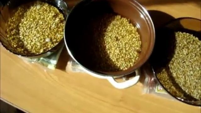 Проращивание зерна