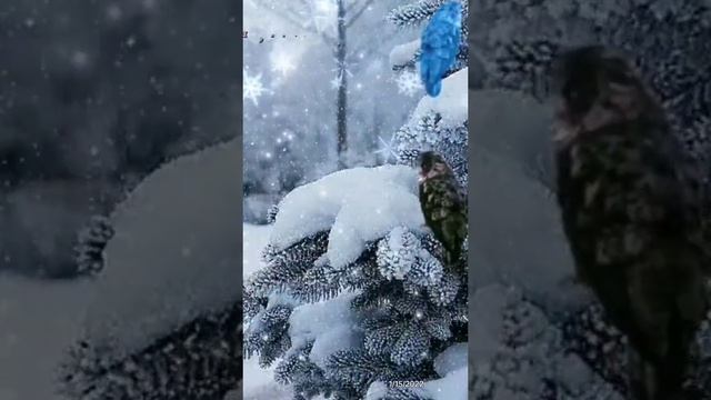 Пожалуйста, поддержите мой труд - поставьте лайк и подпишитесь на мой канал с открытками! Я буду ...