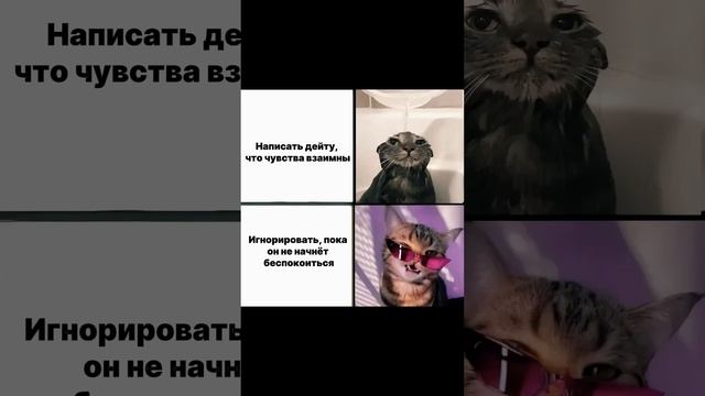 Что выберете вы?